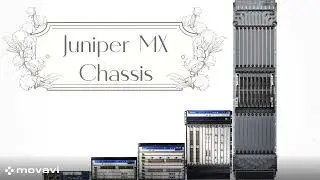 Juniper router MX  chassis