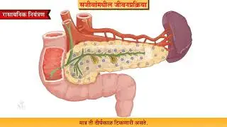 9th Science | Chapter#15 | Topic#10 | रासायनिक नियंत्रण | Marathi Medium