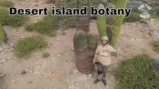 The Indiana jones of succulents explores desert islands in the sea of Cortez