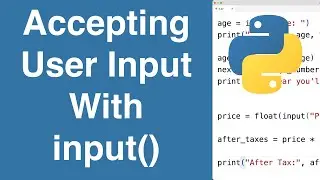 Accepting User Input With input() | Python Tutorial