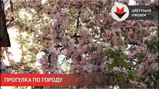 НОВОСТИ УДМУРТИИ | Прогулка по весеннему Ижевску