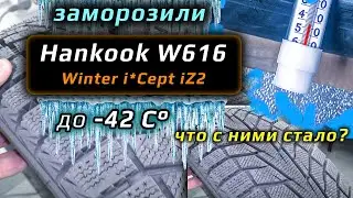 Hankook Winter i*Cept iZ 2 W616  - заморозили до -42