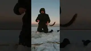 Рыбалка зимой в Архангельске #fishing #shorts