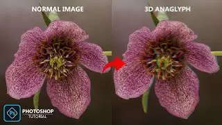 Convert Normal Image Into 3D Anaglyph (Red-Cyan) Image in Photoshop