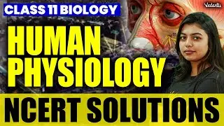 Human Physiology | Class 11 Biology | NCERT Solutions