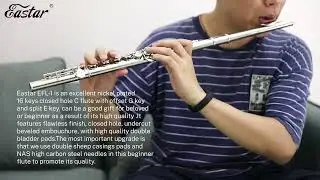 Eastar EFL-1 Flutes For Beginners