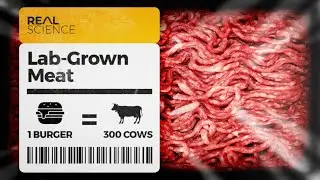 The Truth About Lab-Grown Meat