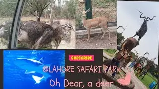 Lahore Safari Park - Oh dear, that's a deer 😄