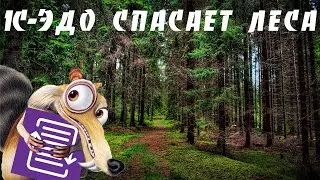 1С-ЭДО. Как настроить сервис и начать обмен | вебинар | ЭЦП в 1С-ЭДО | инструкция