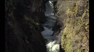 Cascade de la Billaude-Jura (France)