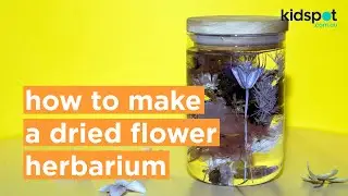 Make a dried flower herbarium to remind someone you be-leaf in them