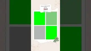 Instagram story green screen effect