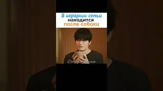 🥲 Хотел наказать собаку, но был наказан сам | Стиратель плохих воспоминаний #kdrama  #kimjaejoong