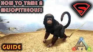 ARK HOW TO TAME A MESOPITHECUS - EVERYTHING YOU NEED TO KNOW ABOUT TAMING A MESOPITHECUS