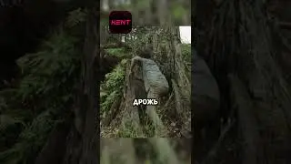 Этому парню очень не повезло...😰 