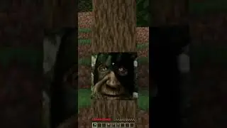Wise Mystical Tree in Minecarft