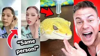 Tiktok’s That Will Make You Smarter Than Your Friends