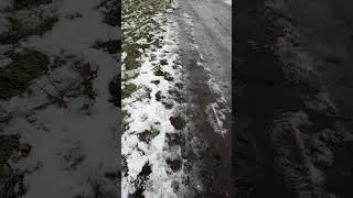 снова весна