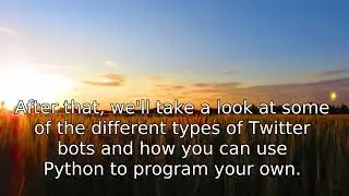 Simple Twitter Bot With Python Tutorial