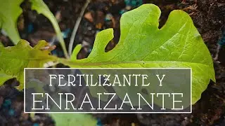 Fertilizante natural para enraizado y crecimiento GRATIS