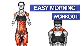 Easy 10-Minute Morning Exercise Routine for Beginners at Home