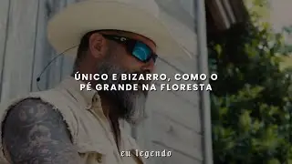 JamWayne - Been Did It | Legendado/Tradução |