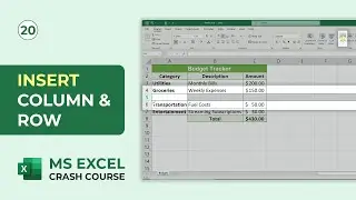 How to Insert Rows and Columns in Excel | MS Excel Crash Course #20