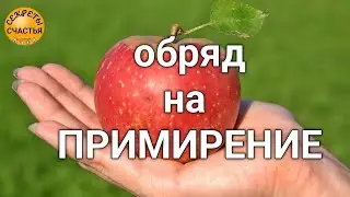 Make peace with him / her, the quarrel will be forgotten, the relationship will return