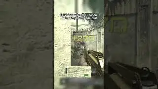 Remember The USAS 12? 🤯 #callofduty #cod #nostalgia