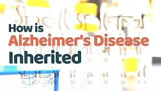 How is Alzheimer's Disease Inherited | Inheritance of Sporadic and Familial AD | Presenilin gene