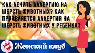 Как лечить аллергию на шерсть животных? Как проявляется аллергия на шерсть животных у ребенка?