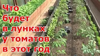 Посадка томатов в теплицу. Что добавлю в лунку при посадке помидоров в этот год.