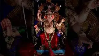 YouTube Ganapati Festival | Ganesh Chaturthi in Mumbai | Siliguri| Kolkata Ganesh Puja #ganesh