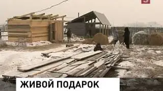 Мечту школьницы из Хакасии исполнил президент России (20.01.2014)