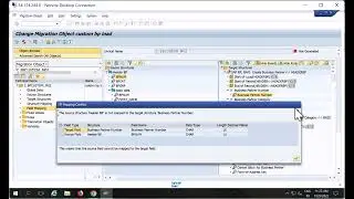 SAP Migration Cockpit custom object