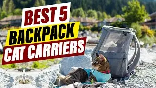 Best Backpack Cat Carriers for Travel & Adventure