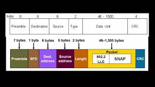 MAc header in network security 5