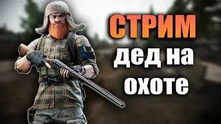 Тарков - Челлендж: Дед на охоте [Стрим]