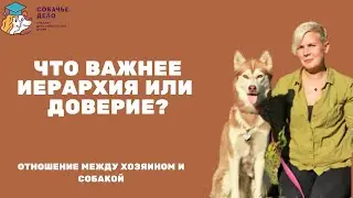 Что важнее – иерархия или доверие?