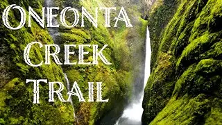 # 1 WATERFALL HIKE in Oregon! (Oneonta Gorge trail) Colombian River Gorge 4K