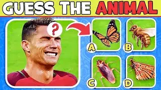 😭 Can You Guess Funny Moment of CR7?❓💦 How Much do You Know about Ronaldo? Injury, Red Card, Body