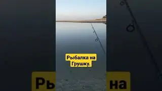 Рыбалка на Грушку