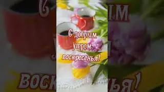 Всем, кому попалось это видео, будут под защитой! #сдобрымутром