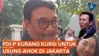 Ahok Disebut Potensial di Pilkada Jakarta, Djarot: Persoalannya PDI-P Kurang Kursi