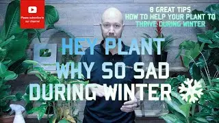 Hey plant, why so sad during winter ❄️?