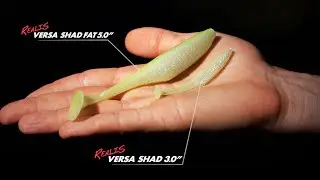 Lures in Motion : The Realis Versa Shad Fat & Pintail 5"