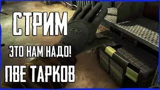 Лут для УБЕЖИЩА в Тарков  ПВЕ! Стрим Escape from Tarkov PVE