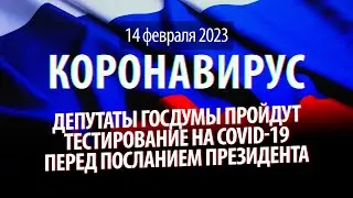 Депутаты сдатут тест на COVID-19. Статистика коронавируса в России на сегодня, 14 февраля 2023