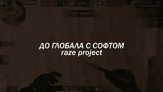 ДО ГЛОБАЛА С СОФТОМ | RAZE PROJECT