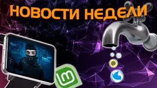 Музыка от ИИ | Обновления Линукс | VK solutions | Ваш котик в игре и другое